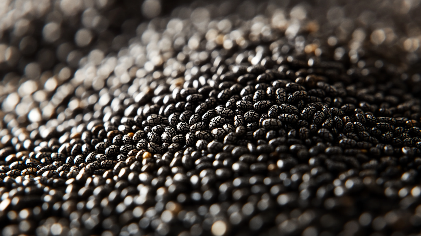 Chia Seeds