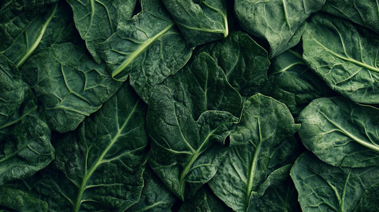 Collard Greens